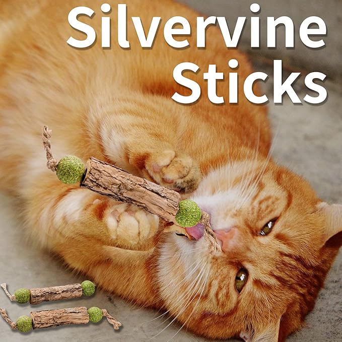 Silvervine Sticks Catnip Toys for Cats, 5 Pack, Interactive Indoor Cat Toy for Teeth Cleaning, Natural Matatabi Chew Treat for Aggressive Chewers