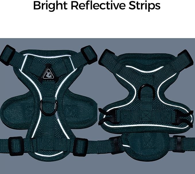 Cat Harness and Leash Set Escape Proof Tactical Small Kitten Harness Emotional Support Cat Vest, Turquoise, S
