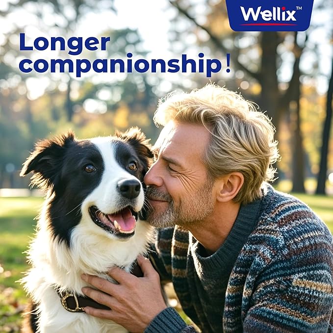 Omega 3 Fish Oil for Dogs, Better Than Salmon Oil for Dogs, Dog Fish Oil Supplement, Pet Skin and Coat Supplement, Promotes Heart, Joint & Immune Health, EPA & DHA