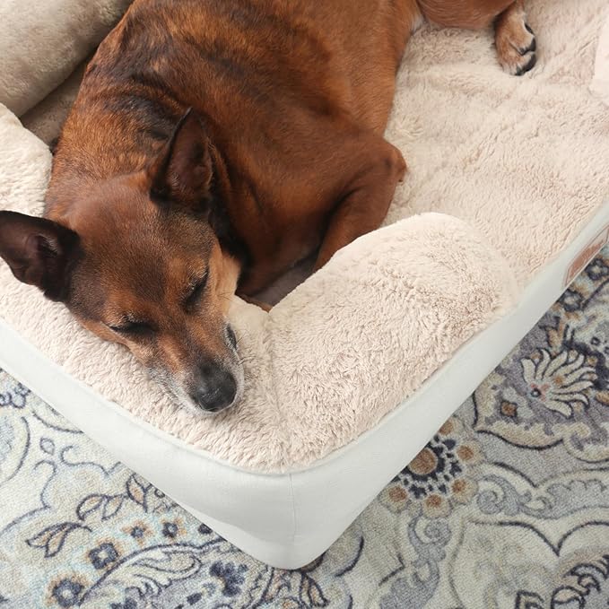 TOWN & COUNTRY EVERYDAY CuddleTown Comfy Solid Bolster Sofa Pet Bed, Supportive & Calming Egg Crate Foam, Water Repellent, Non-Slip Bottom, Machine Washable Cover, Cream, Large 35"x25"x8"