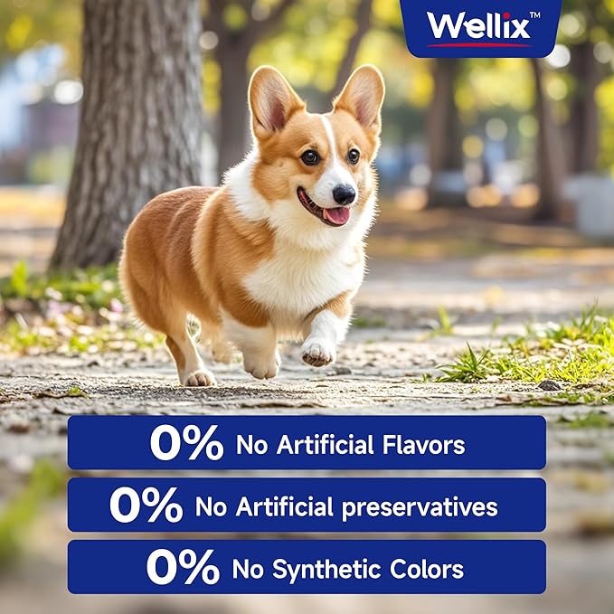 Omega 3 Fish Oil for Dogs, Better Than Salmon Oil for Dogs, Dog Fish Oil Supplement, Pet Skin and Coat Supplement, Promotes Heart, Joint & Immune Health, EPA & DHA