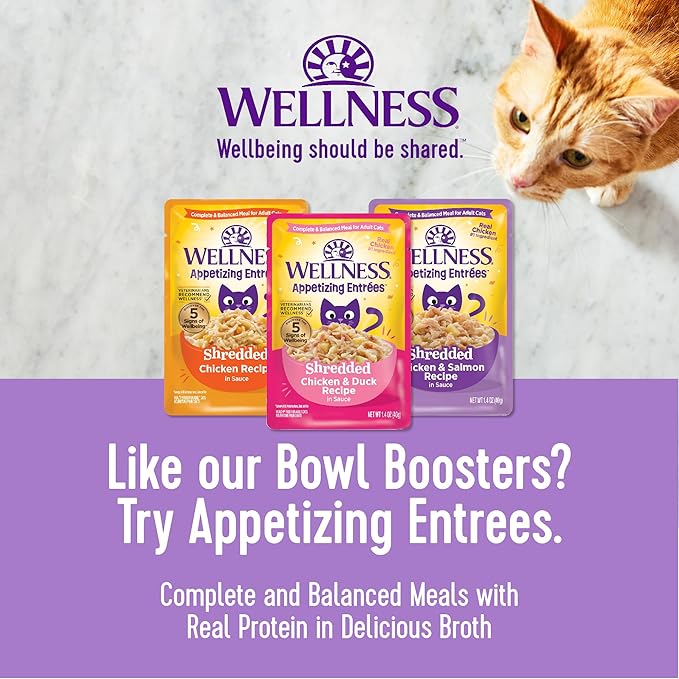 Wellness Bowl Boosters Grain Free Wet Cat Food Topper, Shredded Chicken Recipe in Broth, 1.75 Ounce Pouches (Pack of 12)