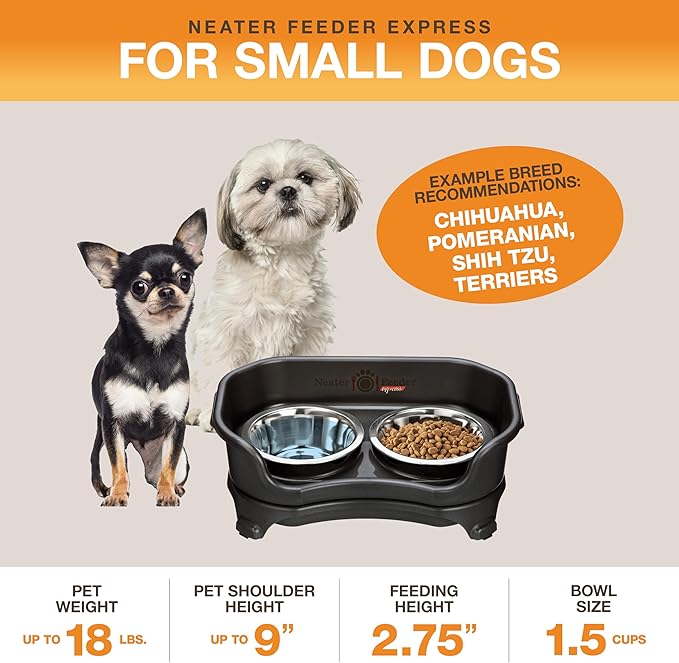 Neater Feeder Express Mess Proof Dog Bowls Elevated for Small Dogs – Made in USA – No Spill Raised Dog Food Bowl Stand, Stainless Steel Dog Food and Water Bowl Set, Elevated Dog Bowl Set, Black
