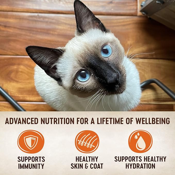 Wellness CORE Tiny Tasters Pate Adult Wet Cat Food, Natural, Protein-Rich, Grain Free, 1.75-Ounce Pouch, 12 Pack, (Duck Pate)