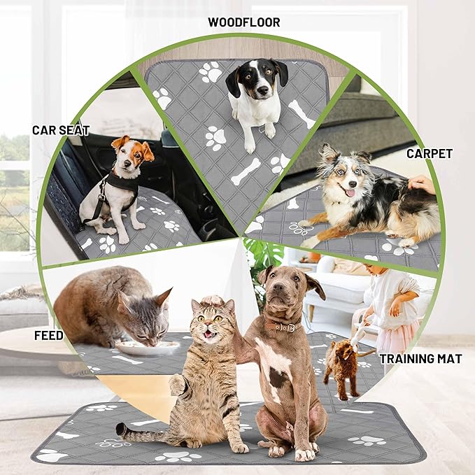 PatiencET Washable Pee Pads for Dogs, 24'' x 36" Reusable Puppy Pads with Super Absorbent, 2 Pack Puppy Potty Pads with Waterproof Bottom for Pet Training, Housebreaking and Incontinence
