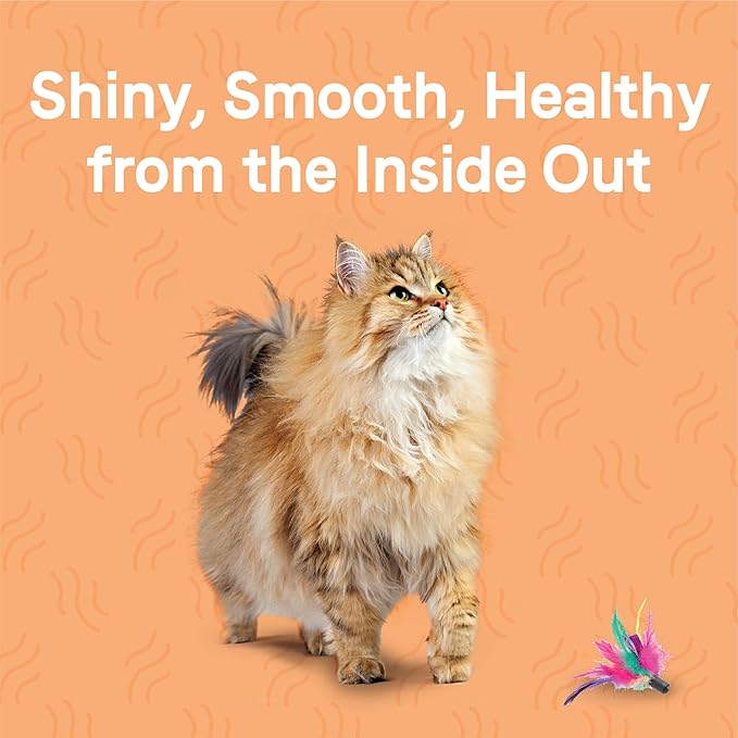 Canidae Goodness for Skin and Coat, Premium Adult Dry Cat Food with Real Salmon, 10 lbs.