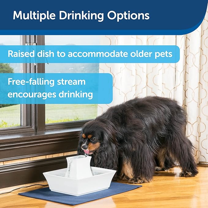 PetSafe Drinkwell Pagoda Ceramic Cat & Dog Water Fountain, 70oz Capacity, Encourages Hydration, Open Bowl Design, White