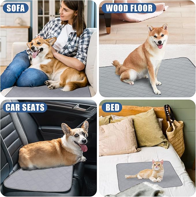 PatiencET Washable Pee Pads for Dogs 18'' x 24" Reusable Pee Pads for Dogs 2 Pack Puppy Pads Potty Pee Pads with Waterproof Bottom for Pet Training, Whelping and Incontinence