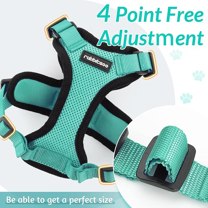 rabbitgoo Cat Harness and Leash for Walking, Escape Proof Soft Adjustable Vest Harnesses for Cats, Easy Control Breathable Reflective Strips Jacket, Emerald, XS
