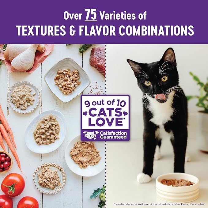 Wellness Healthy Indulgence Morsels Grain-Free Wet Cat Food, Made with Natural Ingredients and Quality Proteins, Complete and Balanced Meal, 3 oz Pouches (Salmon & Tuna in Savory Sauce, 24 Pack)