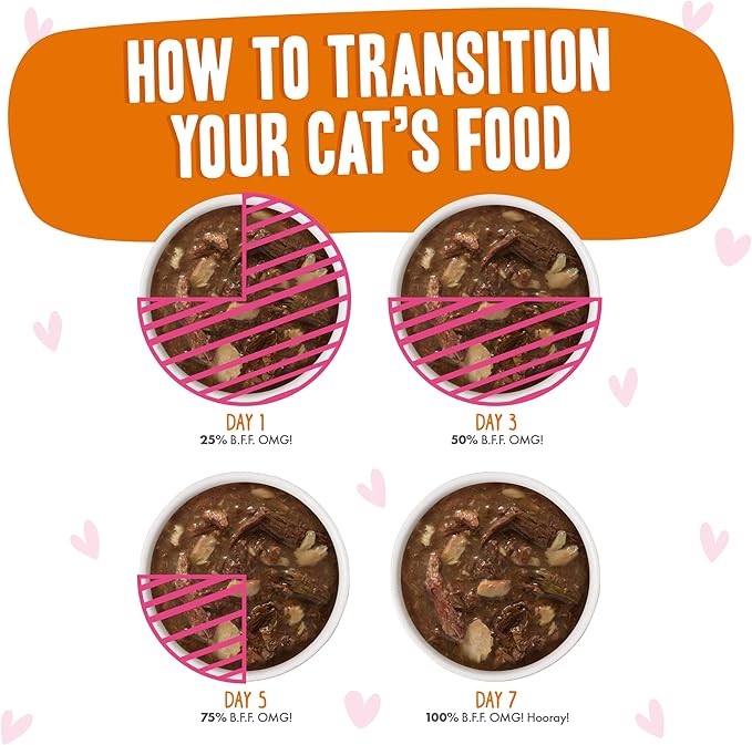 Weruva B.F.F. OMG - Best Feline Friend Oh My Gravy!, Tuna & Salmon Sweet Cheeks with Tuna & Salmon in Gravy Cat Food, 3oz Pouch (Pack of 12)