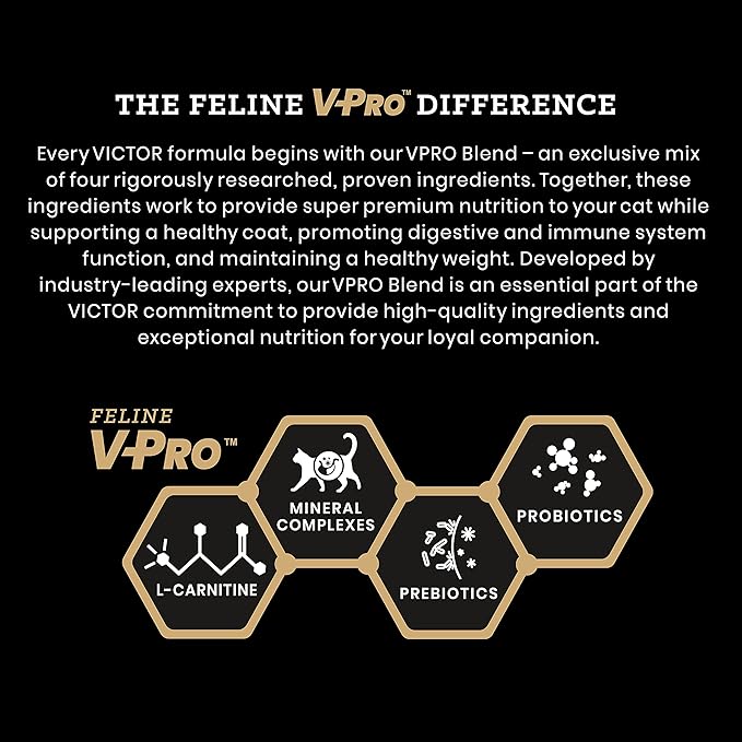 Victor Super Premium Cat Food – Grain Free Fit Feline - Dry Cat Food for Indoor Cats - for All Breeds and All Life Stages from Kitten to Adult, 5lb