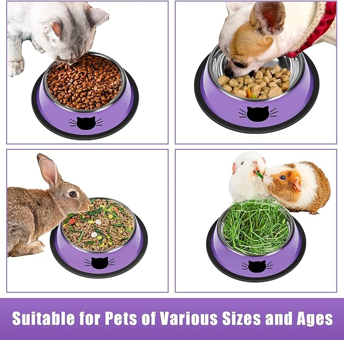 2Pcs Cat Bowls Non-Slip Stainless Steel Small Cat Food Bowls Unbreakable Thicken Cat Feeder 13 Oz Cat Dishes Suitable for Indoor Small Pets Removable Rubber Base Easily Clean Lovely Color