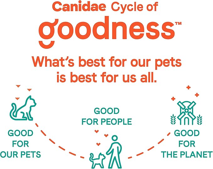 Canidae Goodness for Joints, Premium Adult Dry Cat Food with Real Salmon, 5 Lbs.