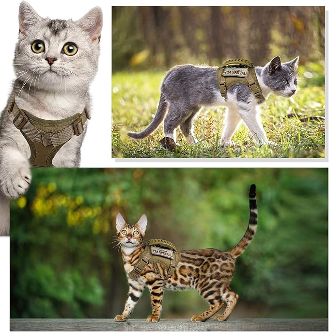 Tactical Cat Harness for Walking Escape Proof, Soft Mesh Adjustable Pet Vest Harness for Large Cat,Small Dog