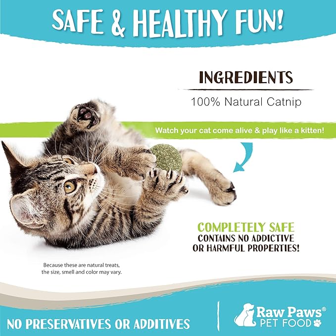 Raw Paws Catnip Balls for Cats, 6 (Pack) - Natural Catnip Ball Toy - Interactive Cat Toy for Indoor Cats - Cat Nip Balls - Catnip Licking Balls for Cats - Catnip Balls for Indoor Cats