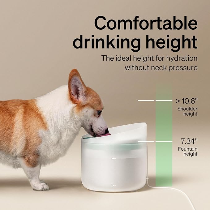Bundle of PETLIBRO Dog Water Fountain, 2.1Gal/270oz Capsule Dog Fountain for Medium to Large Dogs, Anti-Splash, Ultra-Quiet + PETLIBRO Replacement Filters 8 Count Pack