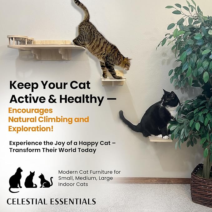 Cat Wall Shelves by CELESTIAL ESSENTIALS –Modern Wall-Mounted Cat Climbing Shelves with Bowls, Steps, Hammock, Carpet Bed, Spacious Perching Shelf, Sturdy Furniture Gift, Special Sale!