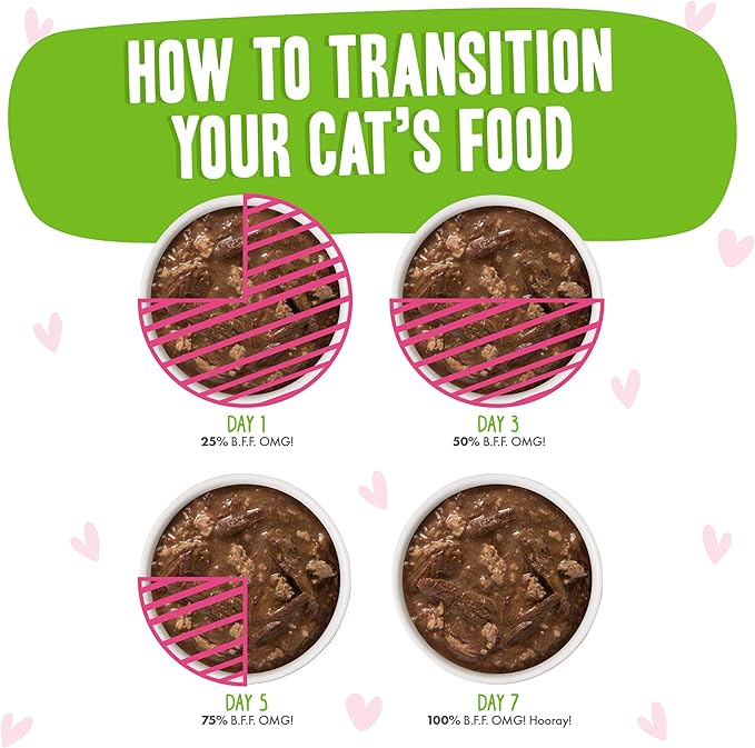 Weruva B.F.F. OMG - Best Feline Friend Oh My Gravy!, Tuna & Lamb Luv Ya with Tuna & Lamb in Gravy Cat Food, 3oz Pouch (Pack of 12)