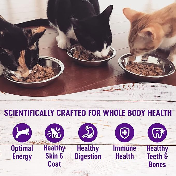 Wellness Healthy Indulgence Gravies Grain-Free Wet Cat Food, Made with Natural Ingredients and Quality Proteins, Complete and Balanced Meal, 3 oz Pouches (Gravies Variety Pack, 8 Pack)