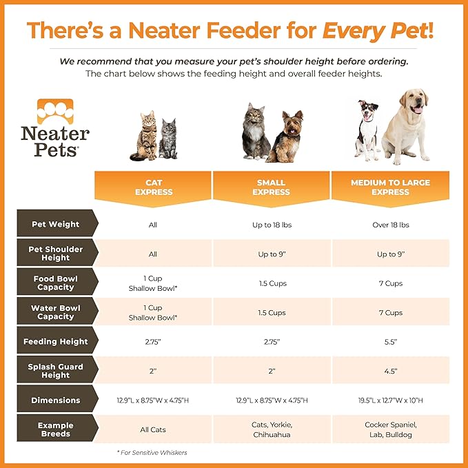 Neater Feeder Express Mess Proof Dog Bowls Elevated for Small Dogs – Made in USA – No Spill Raised Dog Food Bowl Stand, Stainless Steel Dog Food and Water Bowl Set, Elevated Dog Bowl Set, Black