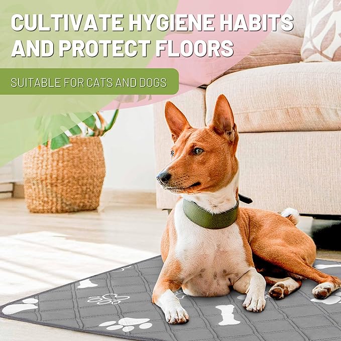 PatiencET Washable Pee Pads for Dogs, 36'' x 41" Reusable Puppy Pads with Super Absorbent, 2 Pack Large Potty Buddy with Waterproof Bottom for Pet Training, Housebreaking and Incontinence