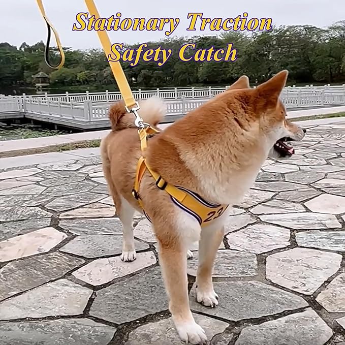 Dog Harness-Escape Proof Sporty Style Dog Harness -Adjustable Reflective Number Dogs Vest with Outdoor Pet Leash, Easy Control for Small,Medium Breeds (Yellow,XS)