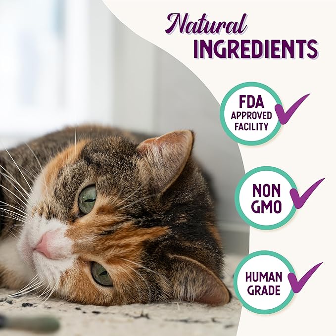 Health Extension Cat Health and Maintenance Bundle - Enzymatic Stain & Odor Remover (32 Oz), Wet Cat Food Canned Chicken & Salmon Recipe (2.8oz), Dry Cat Food Turkey & Salmon Recipe (15 Lbs)