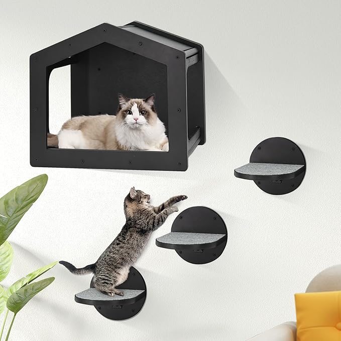 Cat Wall Shelves, Cat Shelves and Perches for Wall, Cat House Fit Cat Up to 25Lbs, 1 Cat Condo House and 3 Large Cat Steps with Scratching Pad, Cat Climbing Shelf for Indoor, Cat Wall Furniture