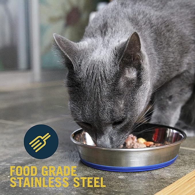 OurPets Durapet Cat Bowl or Dog Bowl (Heavyweight Durable Stainless Steel Cat Food Bowl, Cat Water Bowl, Dog Food Bowl or Dog Water Bowl) [Holds up to 1.75 Cups of Dry Cat Food or Dry Dog Food