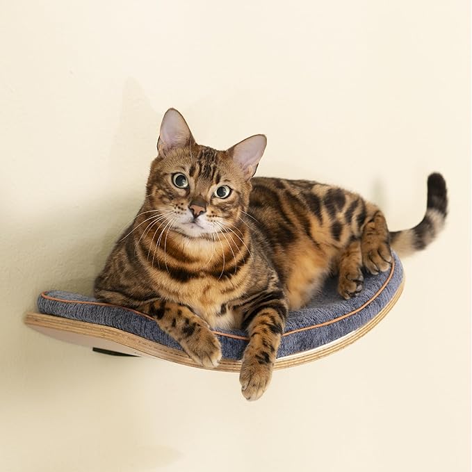 Cat Shelves, Cat Wall Steps and Perch, Cat nest, Wooden Floating Cat Climbing Furniture for Hopping and Sleeping, with Scratching Cushion(Perch)