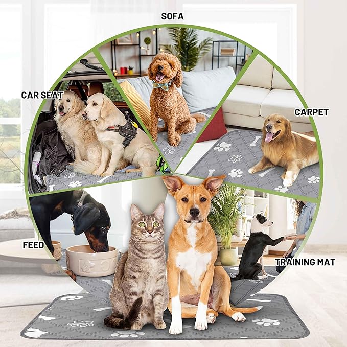 PatiencET Washable Pee Pads for Dogs, 48'' x 65" Reusable Puppy Pads with Super Absorbent for Pet Training, Housebreaking and Incontinence, Puppy Potty Pads with Waterproof Bottom