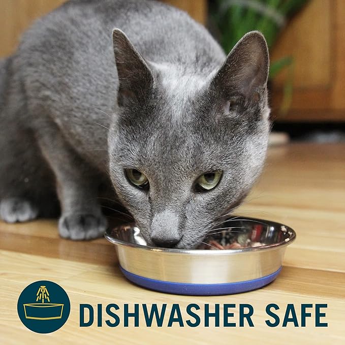 Our Pets DuraPet Stainless Steel Non-Slip (Cat Food Bowl or Water Bowl) (Holds up to 1 Cup of Wet or Dry Food) Easy to Clean