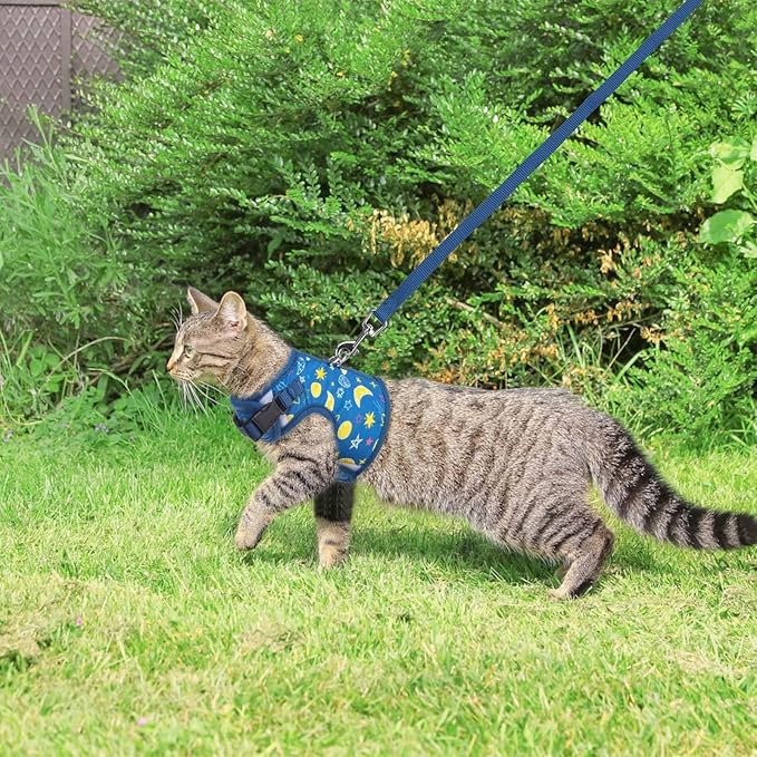 BINGPET Cat Harness with Leash Escape Proof - Fashionable Mesh Cat Dog Walking Harness Leads, Adjustable for Kitties Puppies Small Animals,Galaxy,S