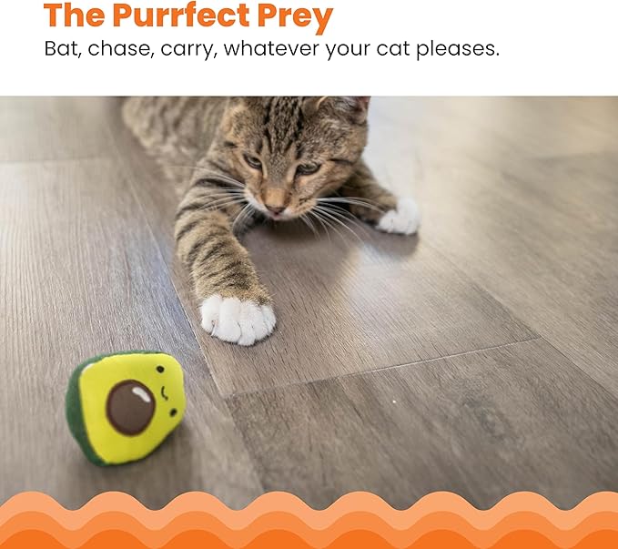 Catstages Lil' Avocato Dental Health Catnip Cat Chew Toy