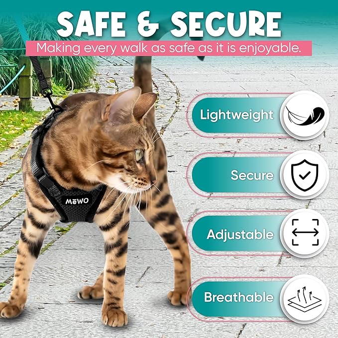 MeWO Kitten Leash and Harness Set - Escape Proof, Reflective, Adjustable for a Safe & Snug Fit - Small Cat Harness and Leash Set Cat Leashes and Harnesses for Walking Outdoors Kitten Harness and Leash