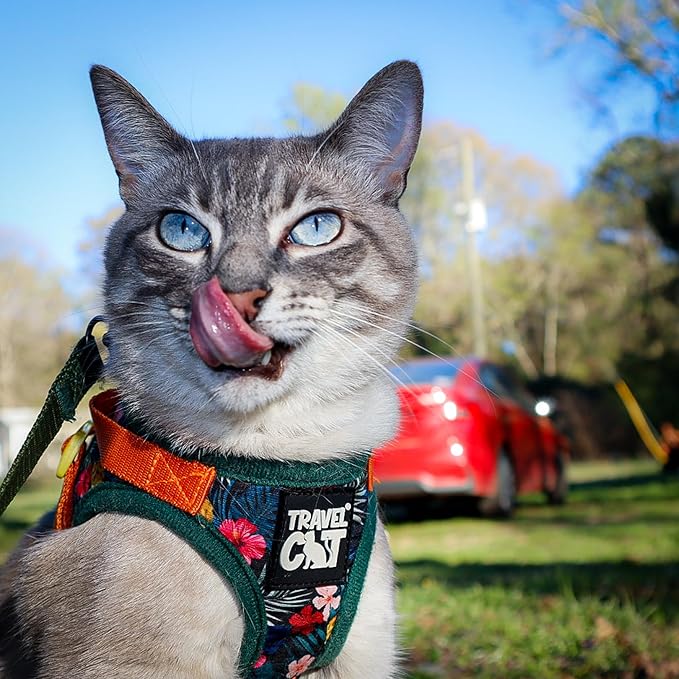 Travel Cat Harness and Leash Set - Adjustable Fit Mesh Cat Harness and Reflective Strap - Comfort Escape Proof Harness for Cats, Kitten for Outdoor Walking, Hiking (Medium, Hawaiian)