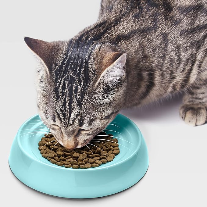 CatGuru Whisker Stress Free Cat Bowls - Wide, Non Slip, Shallow Dish for Cat Feeding & Watering (Aruba)
