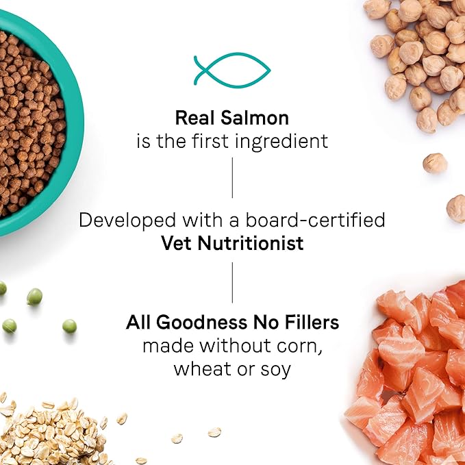 Canidae Goodness for Skin and Coat, Premium Adult Dry Cat Food with Real Salmon, 10 lbs.