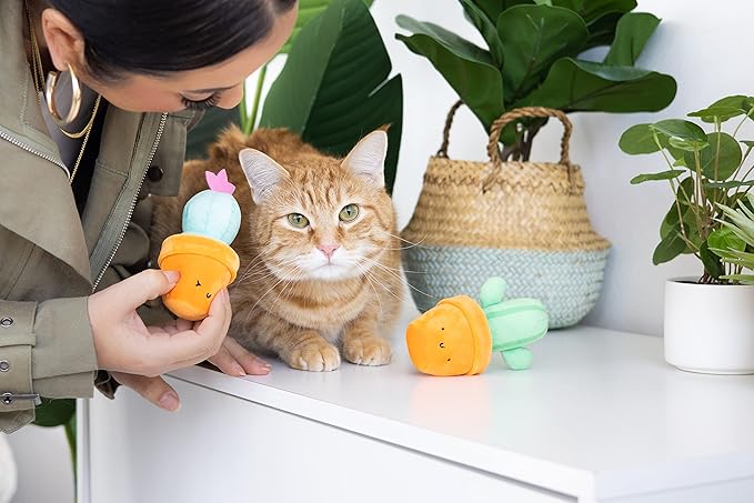 pearhead Prickly Plants Cat Toy Set, Cute Catnip Toys, Plush Cactus Interactive Chew Toys, Pet Owner Must Have Catnip Toys, Set of 2 Plush Toys
