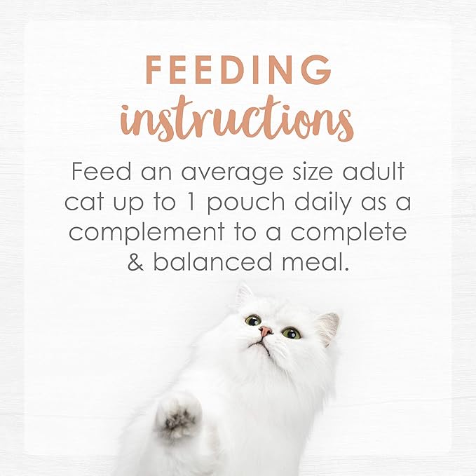Purina Fancy Feast Lickable Wet Cat Food Broth Topper Complement, Classic With Wild Salmon and Vegetables - (Pack of 16) 1.4 oz. Pouches