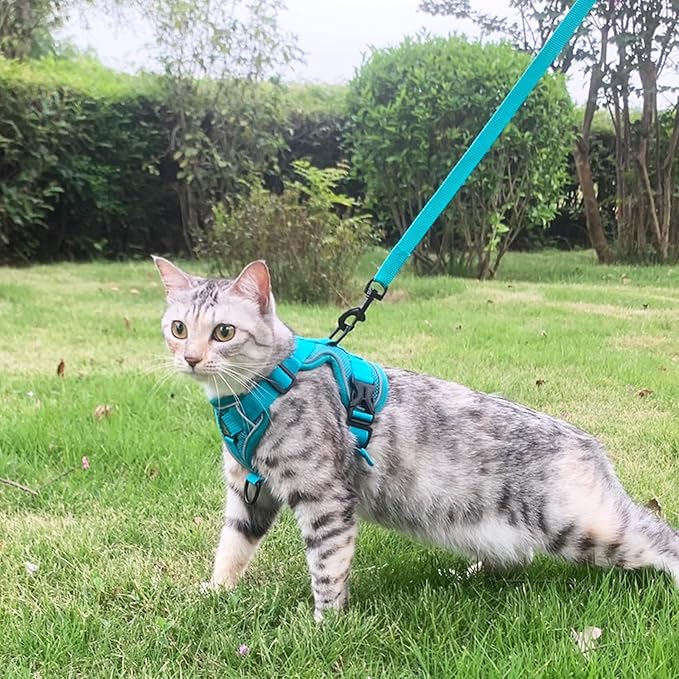 Cat Harness and Leash Set Escape Proof Tactical Small Kitten Harness Emotional Support Cat Vest, Turquoise, S