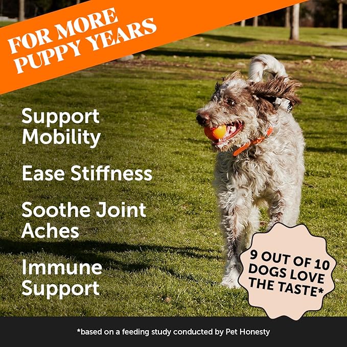 Pet Honesty Hip & Joint Turmeric Health - Joint Supplement for Dogs, Omega-3 Fish Oil, Turmeric Support Joint Health, Ease Stiffness - Advanced Pet Joint Support and Mobility - 90 Ct (Pumpkin)