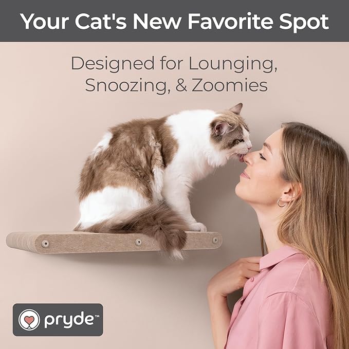 Cat Wall Bed by Pryde Pets, Perch and Cat Shelf for Wall - 100% PET Felt, Sustainable - Modular Floating Shelf for Cats, Indoor/Outdoor Cat Furniture (Oatmeal)