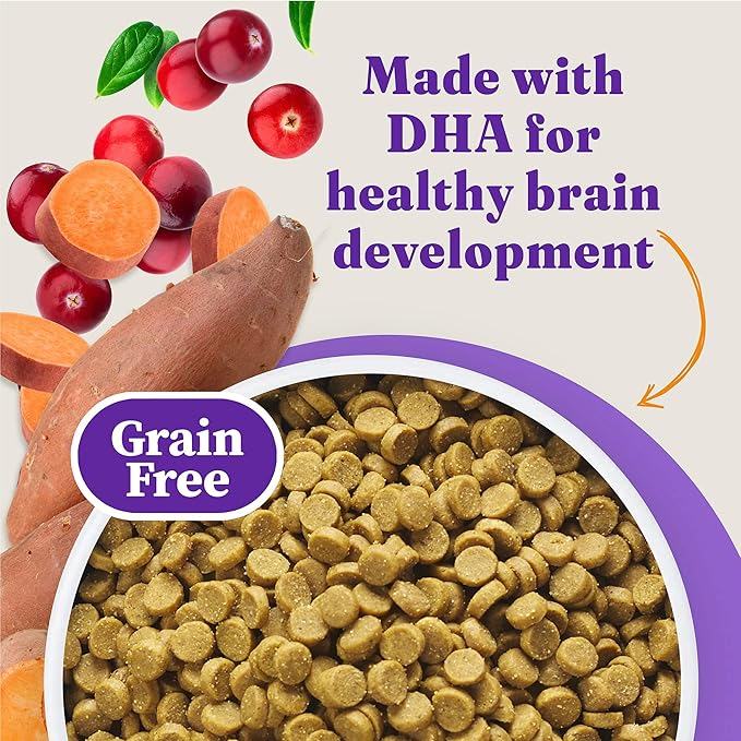 Halo Holistic Kitten Food Dry, Grain Free Cage-free Chicken Recipe, Complete Digestive Health, Dry Cat Food Bag, Kitten Formula, 3-lb Bag