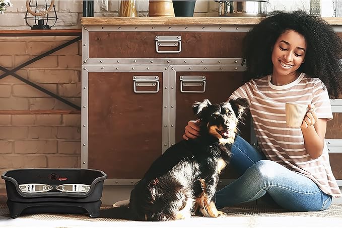 Neater Feeder Express Mess Proof Dog Bowls Elevated for Small Dogs – Made in USA – No Spill Raised Dog Food Bowl Stand, Stainless Steel Dog Food and Water Bowl Set, Elevated Dog Bowl Set, Black