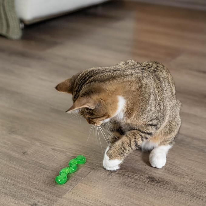 Catstages Orkakat Wiggle Worm Dental Catnip Cat Chew Toy, Assorted Color