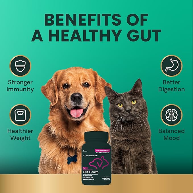 VetriScience Extra Strength Gut Health Capsules, Probiotic & Prebiotic Digestive Supplement for Dogs & Cats, Digestion Support, Gas & Diarrhea, Immune Support, 7.5 Billion CFU Per Capsule, 120 Count