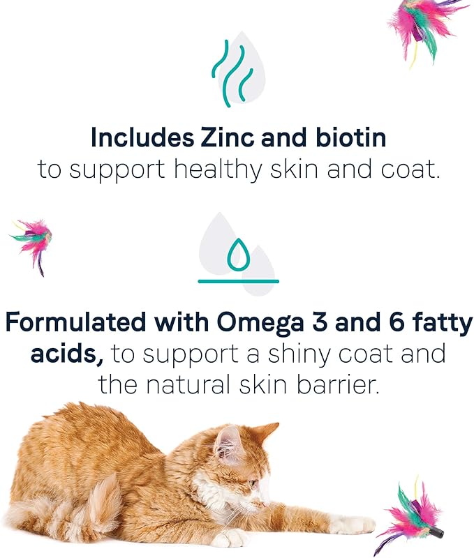 Canidae Goodness for Skin and Coat, Premium Adult Dry Cat Food with Real Salmon, 10 lbs.
