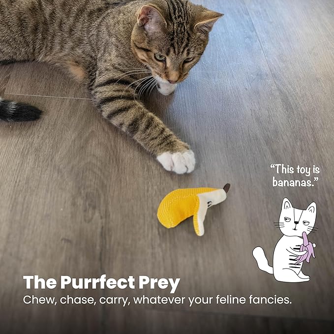 Catstages Dental Banana Catnip Cat Chew Toy